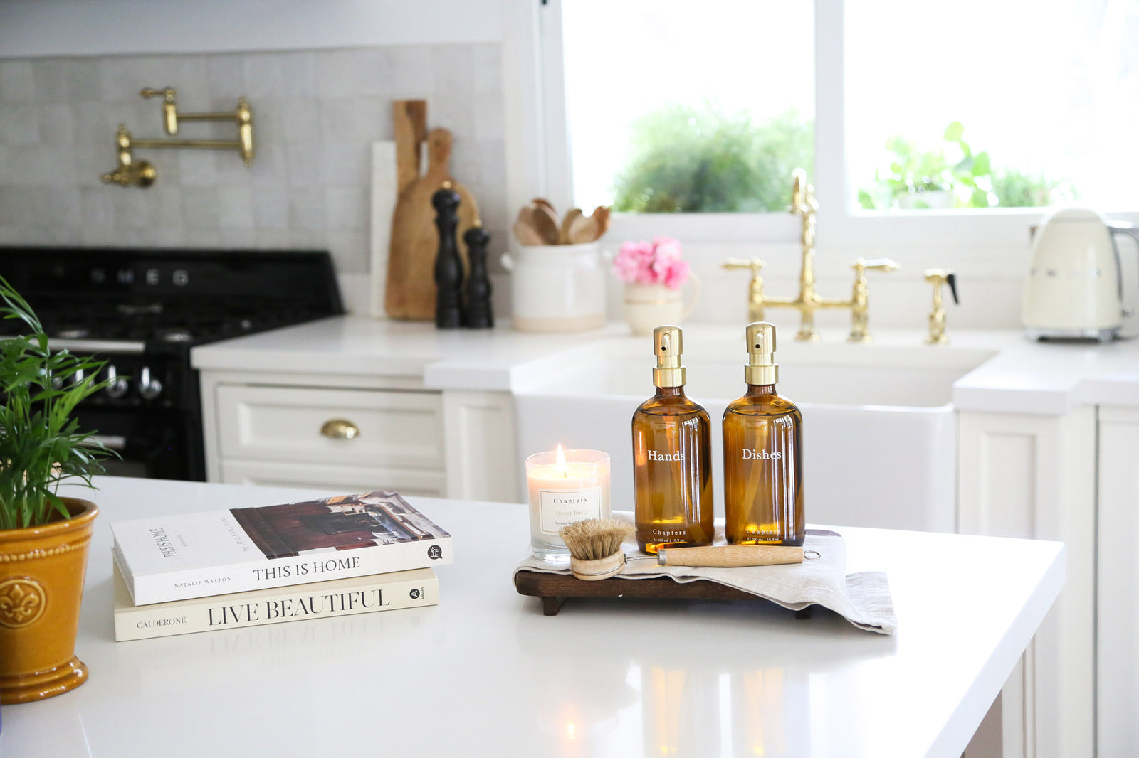 Soap Dispenser, Hands & Dishes