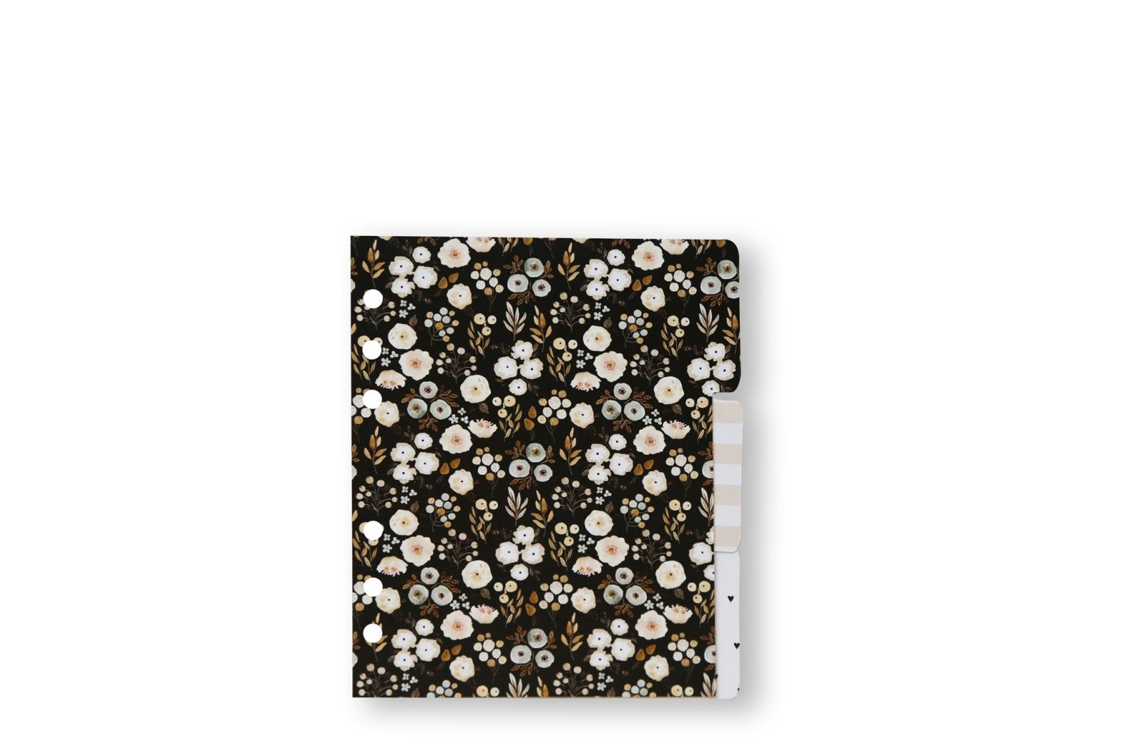 B6 3-Piece Divider Set – 2